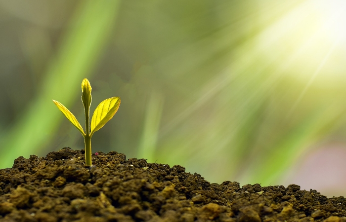 学校評価の結果